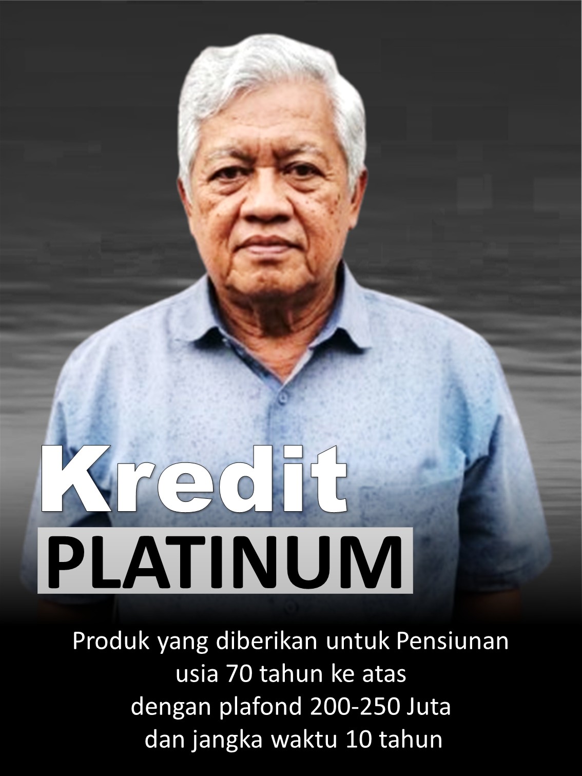 Kredit Platinum